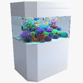 3D Aquarium 04 model